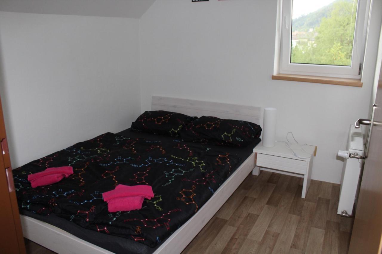 Apartman Rapotin, Jesenicka 296, 3Km Od Termalniho Parku Velke Losiny Esterno foto